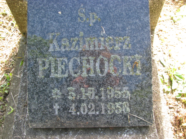 Kazimierz Piechocki 1955 Wielkie Czyste - Grobonet - Wyszukiwarka osób pochowanych